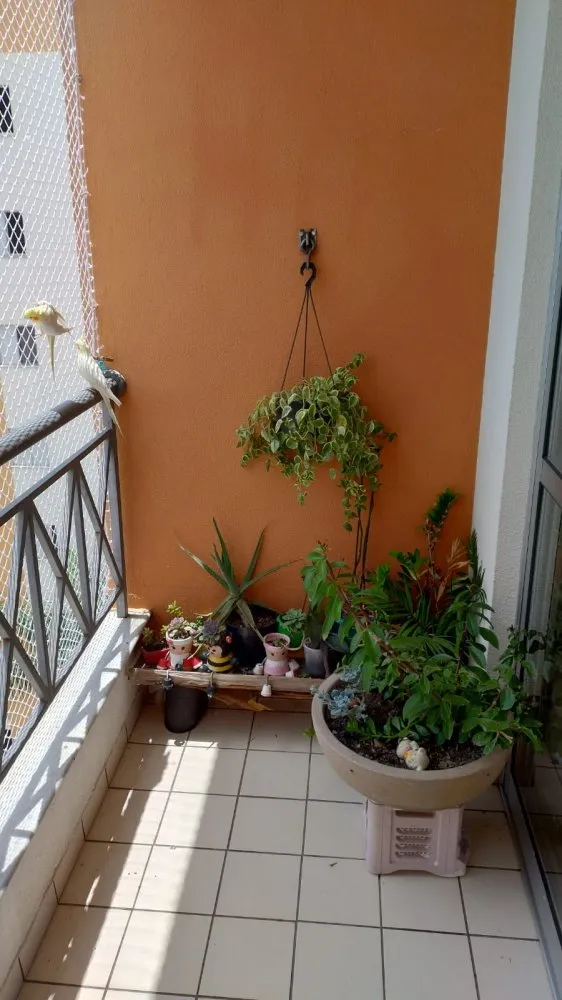Varanda com jardim de vasos — Helbor Villagio
